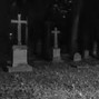 icetray - zombies - stepteam
