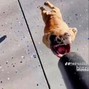 sleppe3 - Rapbeat-3