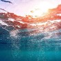 antropolita - OCEAN (REGGAETON x AFROBEAT x TROPICAL DANCEHALL TYPE BEAT)