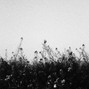antropolita - MISTRUST (POP x R&B x SOUL TYPE BEAT)