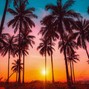 antropolita - SUPERNATURAL (TROPICAL DANCEHALL x REGGAETON x AFRO TYPE BEAT)