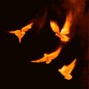 antropolita - Birds (Dancehall x Afro Pop Type Beat)