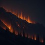 antropolita - WILDFIRE (INDIE ROCK x THE OFFSPRING TYPE BEAT)
