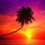 antropolita - RAYS OF THE SUN (TROPICAL DANCEHALL x SUMMER POP TYPE BEAT)
