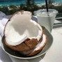 antropolita - COCONUT (TROPICAL DANCEHALL x SUMMER POP TYPE BEAT)
