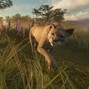bally - live in da wild