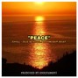 Enrichment - Peace (Chill / Old School / Boom Bap Beat)