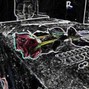 AdamKromczynski - Black Roses Crazy Style !