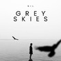 dang3rzonne - Grey Skies