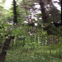 priori - green