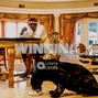 adamsbeats - WINNING