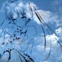 theaxo - hyperpop x digicore x vocaloid x ginseng type beat - "good nite"
