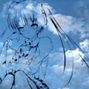 theaXO - hyperpop x digicore x vocaloid x ginseng type beat - "good nite"