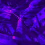 theaxo - digicore x ginseng x pink noise type beat - "insane"