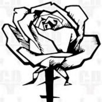 stonedredroses