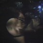 MD - UNDERWATER