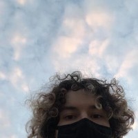 Jordanlilvee