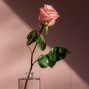 Just5KO - Lo-Fi Instrumental "Romance"