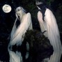 raw - requiem