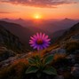 hmb.music - No Doubt