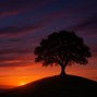 hmb.music - Fading Lights