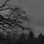 neverevernoangels - 380