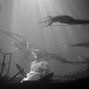 neverevernoangels - 413
