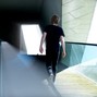 Feiertag - Luminescence