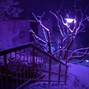 PurplxGothic - lets play in gothic land
