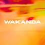 Biqueira Beatz - "Wakanda" - Rema Type Beat / Afrobeat 2025