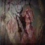 snxrkk - 6996