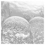cmdrapollo - defeated