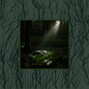 Bear - The Things Unseen