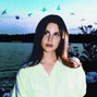 Chkody - Romance (Lana Del Rey x Indie Rock)