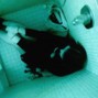 Chkody - Drown (Deftones x Alternative Rock)
