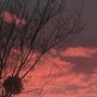 danilanoshin2003 - SORRY