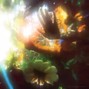 babynayf - flower morning