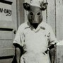 babynayf - chef