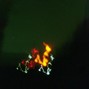 murphystewart23 - murphybeat - nightcrawler