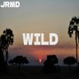 Jrmd - Wild (Afrobeat x Afropop Type Beat)