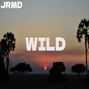 Jrmd - Wild (Afrobeat x Afropop Type Beat)