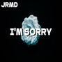 Jrmd - I'm Sorry (Rnb Type Beat)