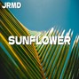 Jrmd - Sunflower (Latin Pop Type Beat)