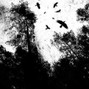 kaotics - Autochroma