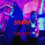 Cashrollie - [CRB049] Shark (Lil Pump x Smokepurpp Type Beat)