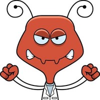 Antman Beats