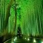 Sensei G - [Smooth] Everything Green - Prod Sensei G & DJ Ess