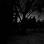 trix - dark rain