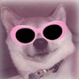 DogeGamig - Dopeドープ