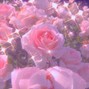 W!LLER - Pink Lemonade | Indie Rock Type Beat